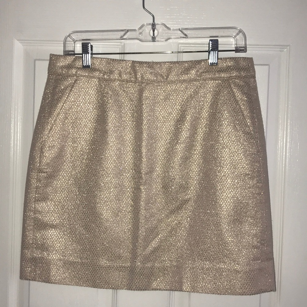 Champagne Shimmer Skirt